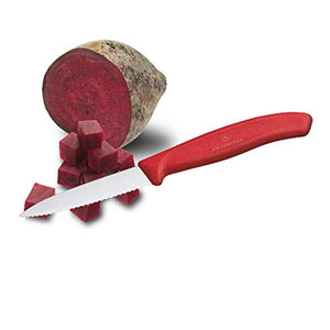 Victorinox 6.7631 Couteau d’Office avec Lame Pointue/Tranchant denté, Acier Inoxydable, Rouge, 30 x 5 x 5 cm